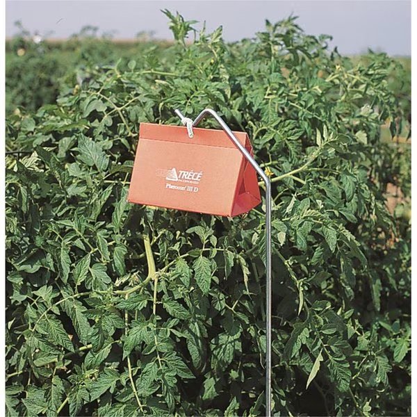 Trece Pherocon III Orange Delta Trap, Trece, Mfr#: 3307-00 ORANGE